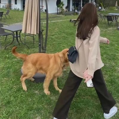 狼女